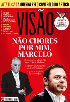 Capa de Visão
