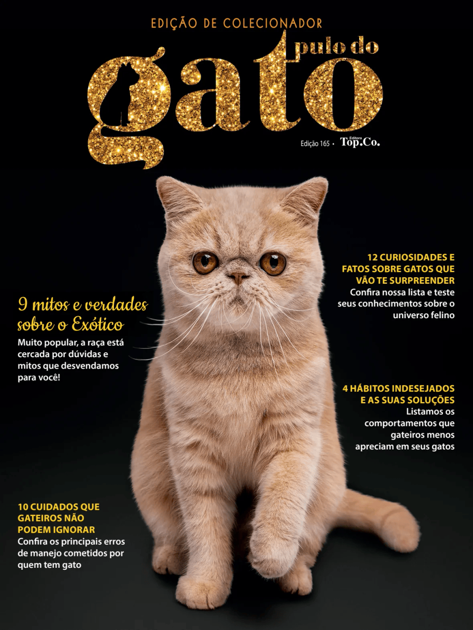 Pulo do gato