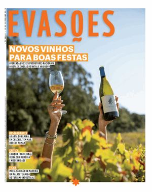 Capa de Evasões