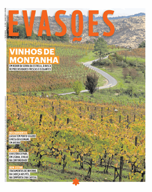 Capa de Evasões