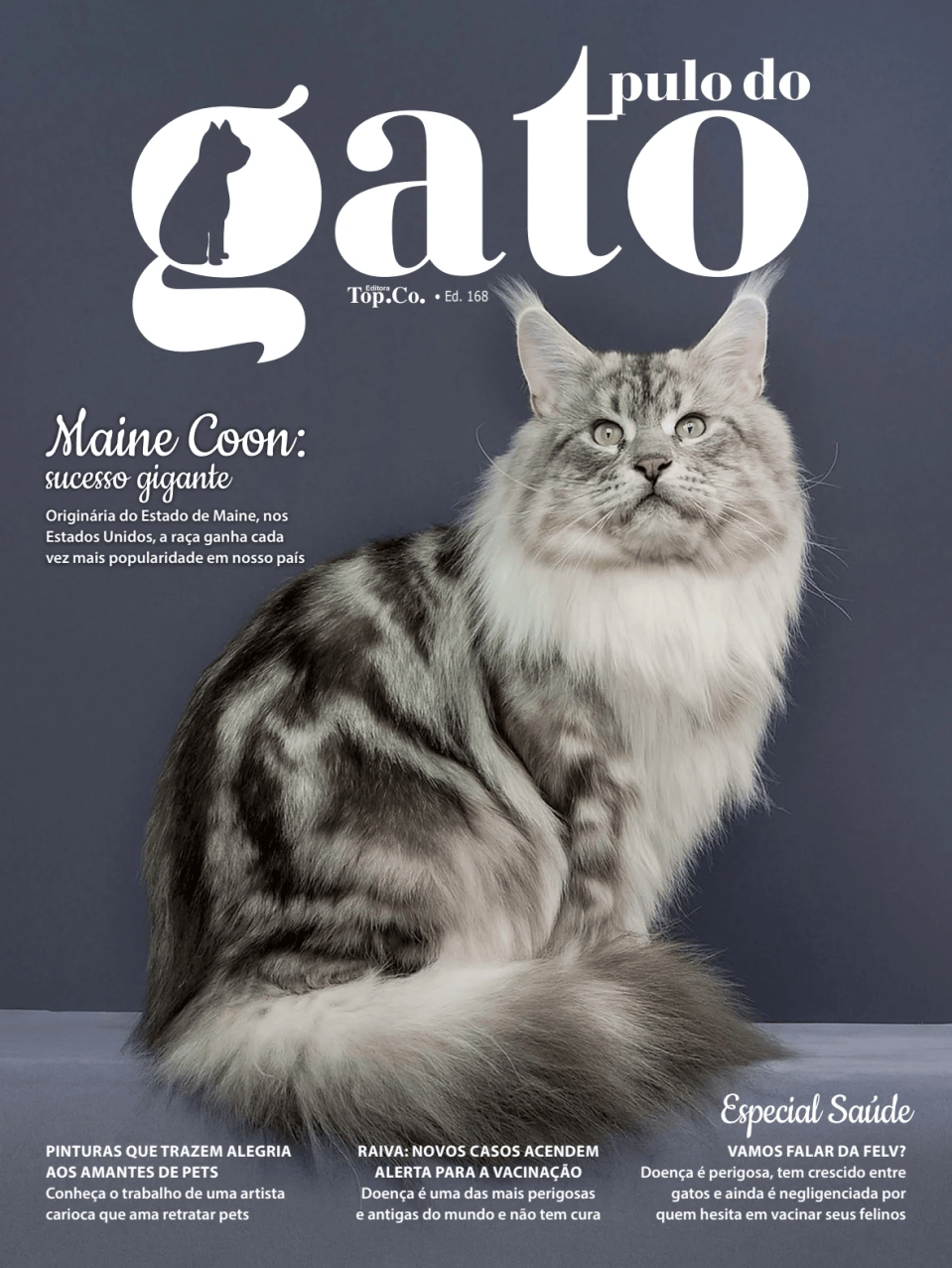 Pulo do gato