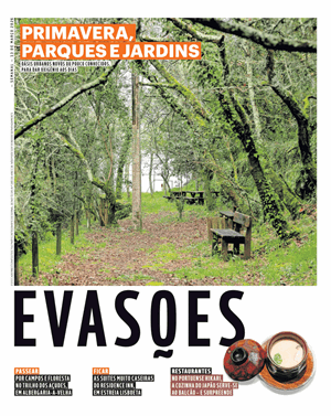 Capa de Evasões