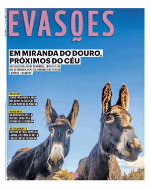 Capa de Evasões