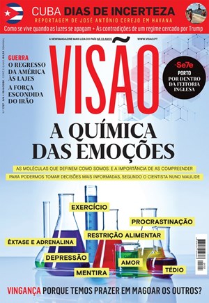 Capa de Visão