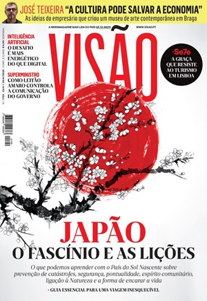 Capa de Visão