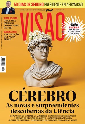 Capa de Visão