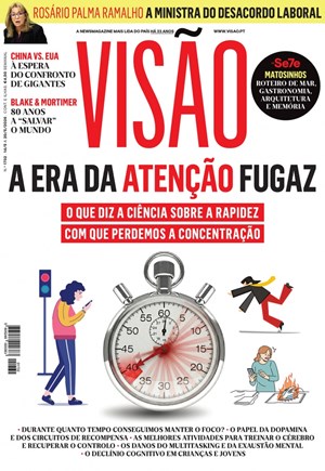 Capa de Visão
