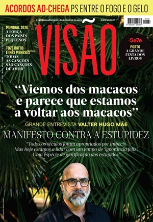 Capa de Visão