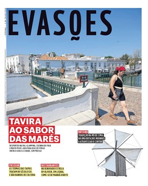 Capa de Evasões