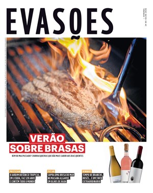 Capa de Evasões