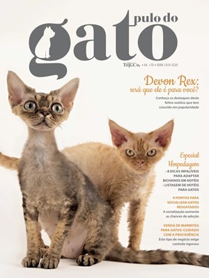 Capa de Pulo do gato