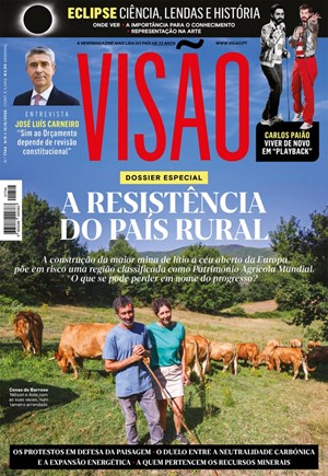 Capa de Visão