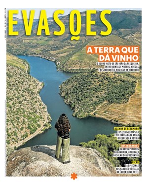 Capa de Evasões