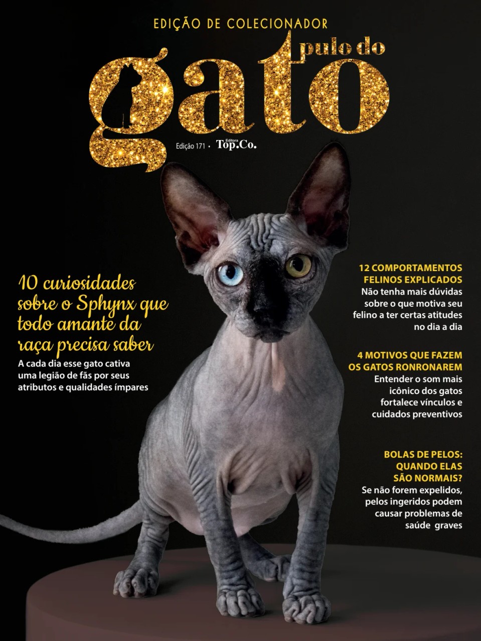 Pulo do gato