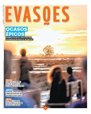 Capa de Evasões