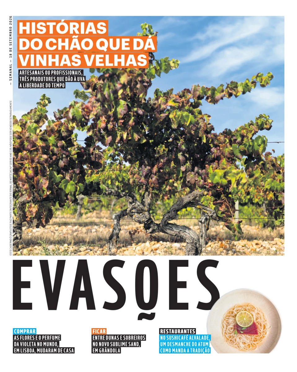 Evasões