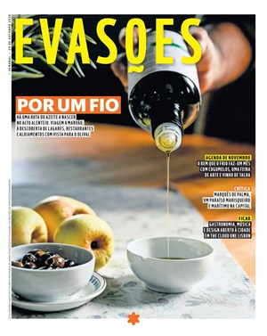 Capa de Evasões
